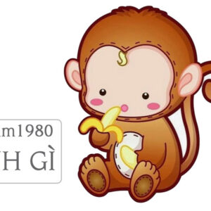 thông tin đầy đủ nhất về người tuổi khỉ 1980 mệnh gì?